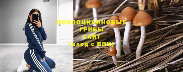 мескалин Балахна