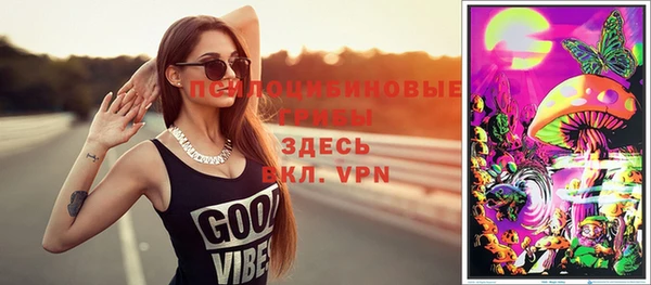 шишки Балабаново
